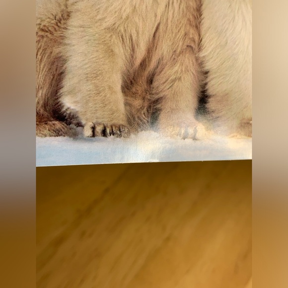 ⭐️BOGO//14-pack Polar Bear Christmas Cards - Picture 11 of 16